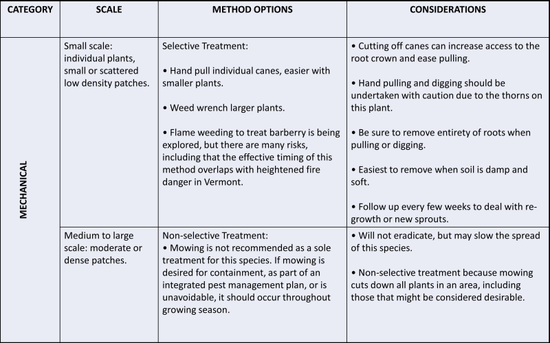 text in a table describing mechanical treatments for Japanese barberry