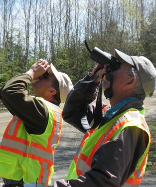 Forest Pest First Detectors conducting a survey.