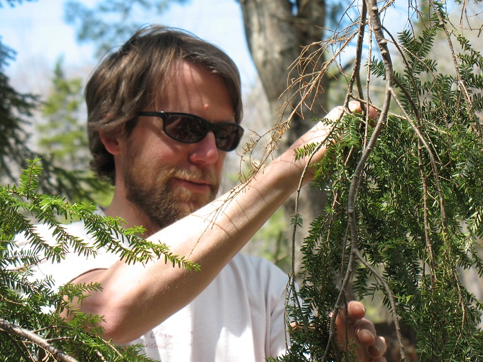 Hemlock Woolly Adelgid Survey