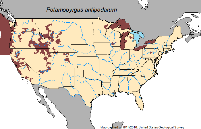 Species distribution in the United States