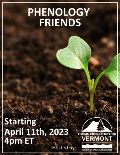 advertisement showing a seedling emerging from dark soil with the words Phenology Friends April 11th 4pm