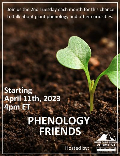 Advertisement showing a seedling emerging from dark soil, with the words "join us the 2nd Tuesday each month for this chance to talk about plant phenology and other curiosities. Starting April 11th, 2023 - Phenology Friends, hosted by Vermont Department of Forests, Parks and Recreation". 