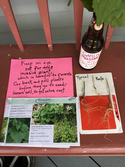 informational display at a country store showing a factsheet on garlic mustard, tips for puling the plant, and a vase with an example plant. 