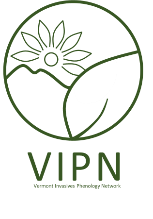 logo showing minimalist outline of mountain, leaf, and the moon with petals, representing a flower