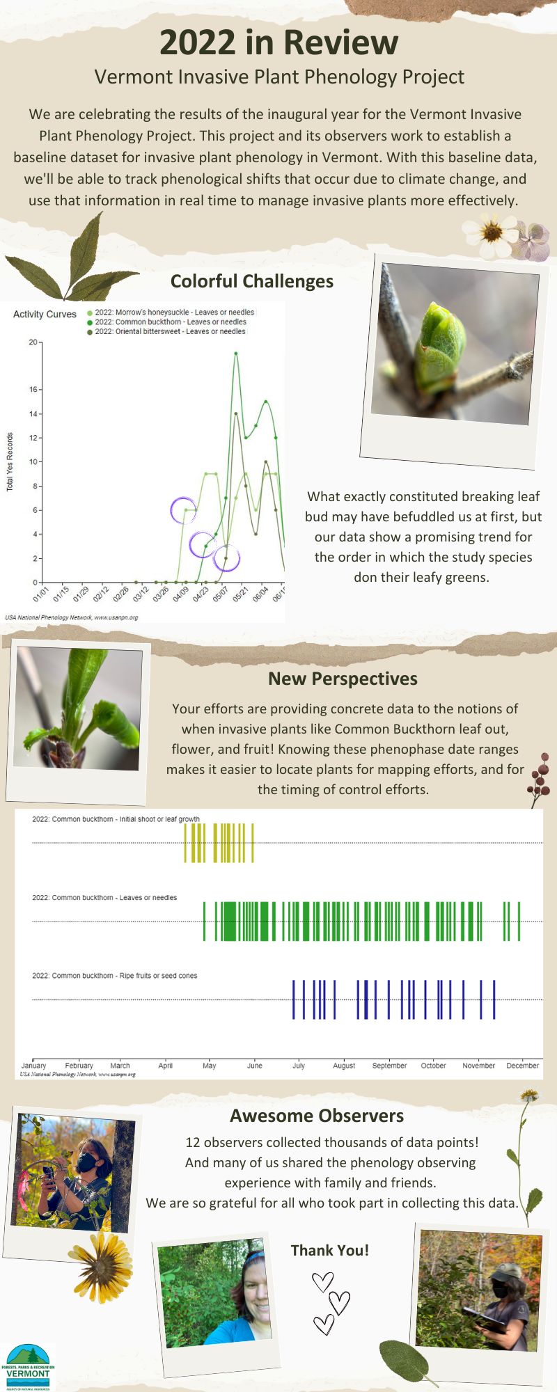 Infographic showcasing graphs of the data collected by observers, showing the trend that honeysuckle is the first to leaf out, followed by buckthorn and bittersweet; also says thank you to observers for taking part