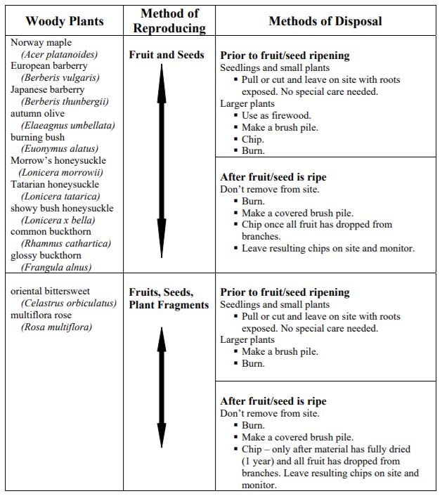 woody plants list