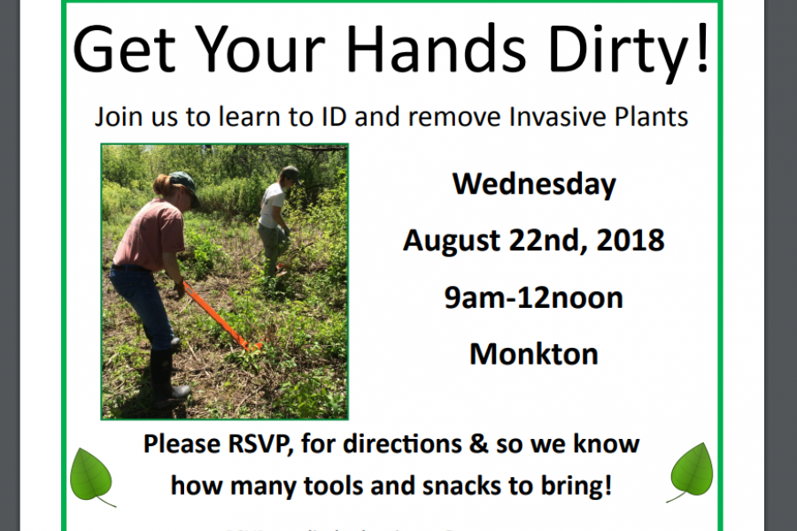 get your hands dirty event screen shot of flyer, displaying time and date (august 22nd, 2018 9am -12noon), pictures volunteer removing invasive plant with weed wrench. 