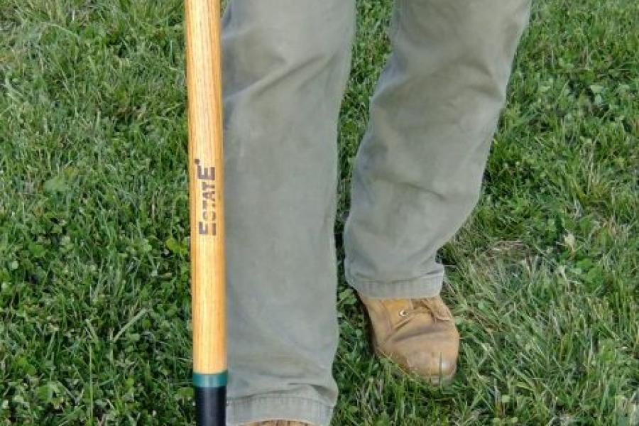 A person demonstrates a parsnip predator (a modified shovel)