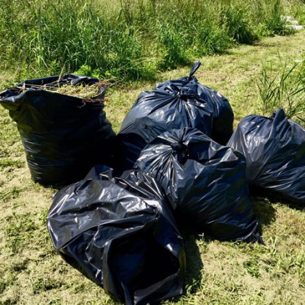 bagged material